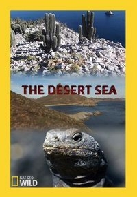 Постер «Пустынное море»