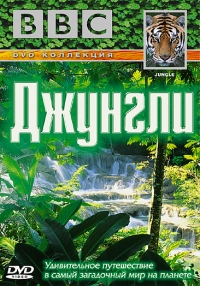 Постер «Джунгли»