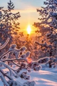 Постер «Ночь на Земле»