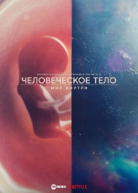 Постер «Человеческое тело: мир внутри»