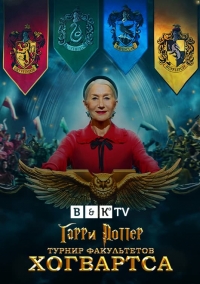 Постер «Гарри Поттер: Турнир факультетов Хогвартса»