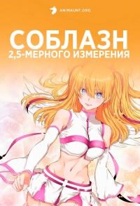 Постер «Соблазн 2,5-мерного измерения»