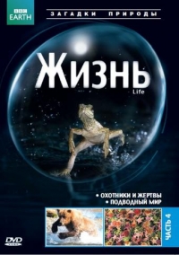 Постер «BBC: Жизнь»